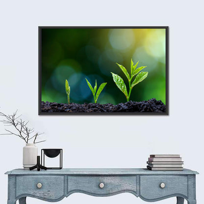 Plant Growing Phase Wall Art