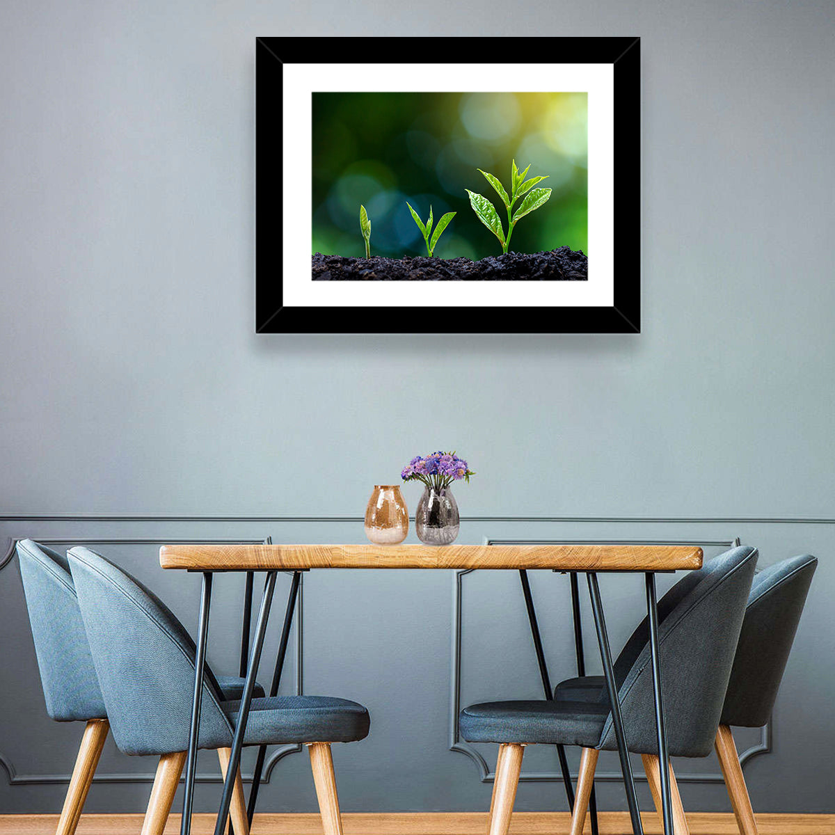 Seedling Growth Stages Wall Art