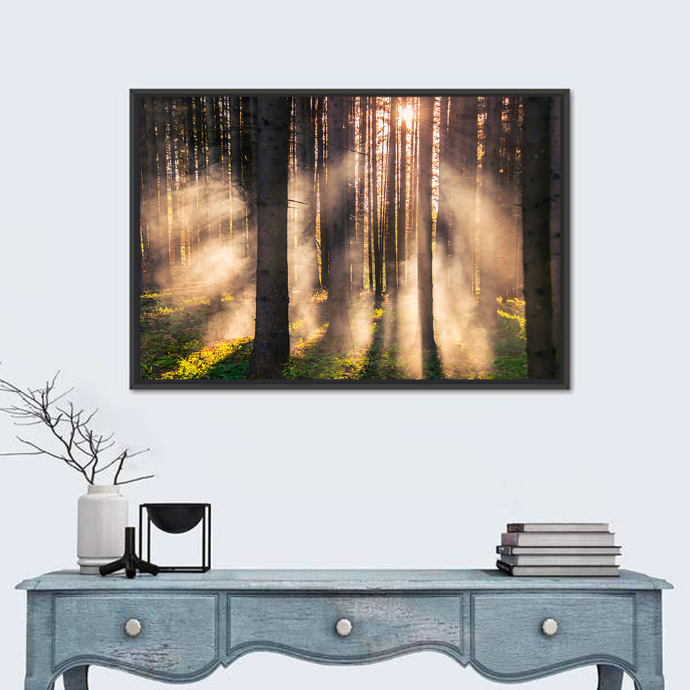 Sunrise Through Misty Forest Wall Art in a room, landscape