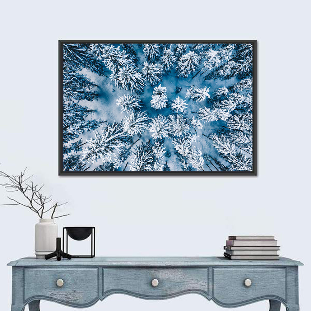 Aerial Snowy Evergreen Canopy Wall Art