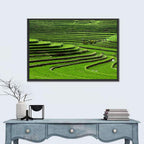 Lush Rice Terraces Wall Art