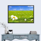 Spring Daisy Meadow Wall Art