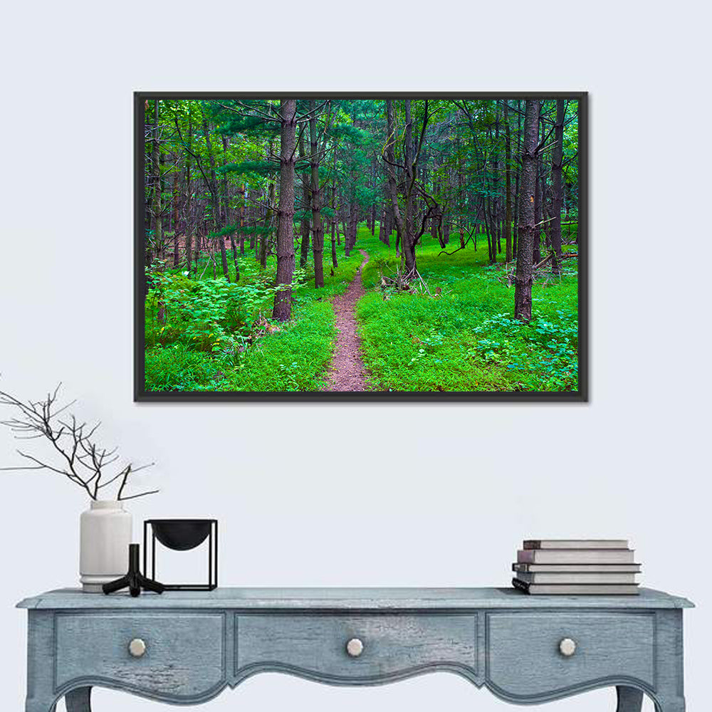 Lush Virginia Forest Trail Wall Art in a room, landscape