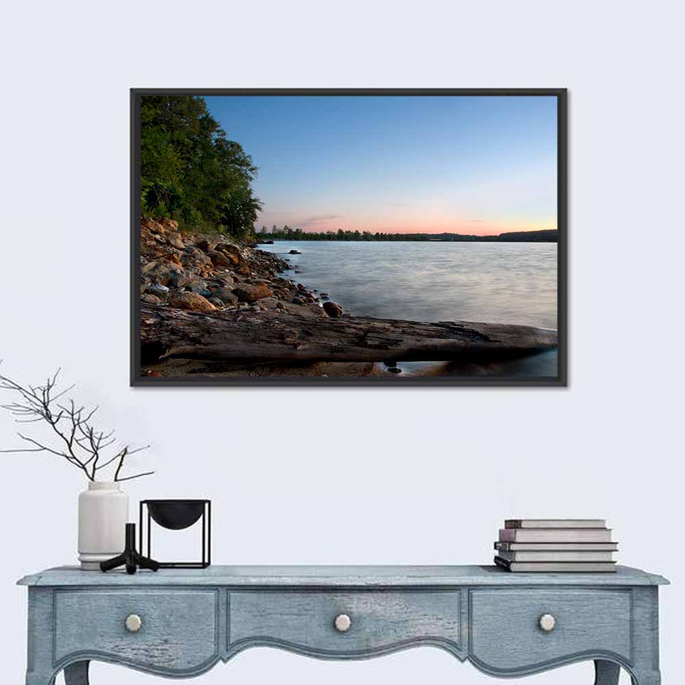 Lake Hartwell Driftwood Shoreline Wall Art