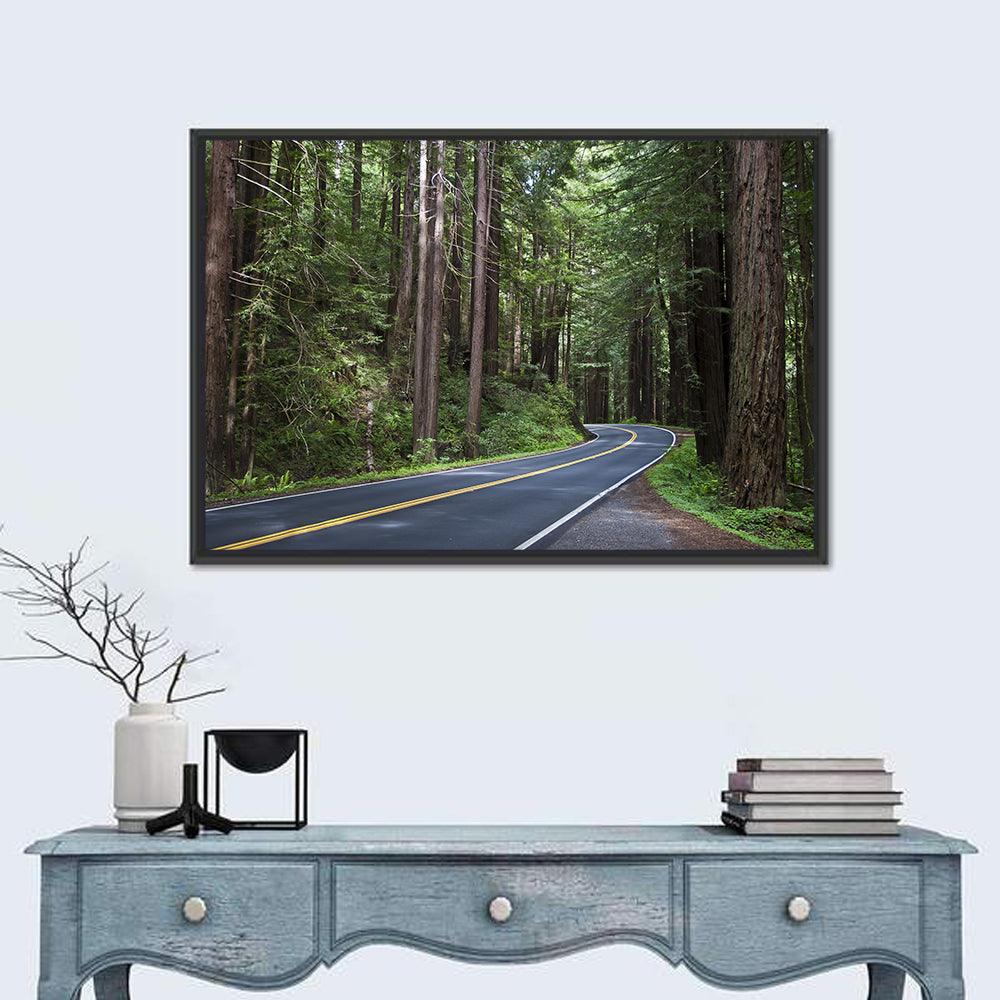 Winding Redwood Forest Road Wall Art