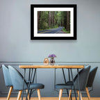 Winding Redwood Forest Road Wall Art