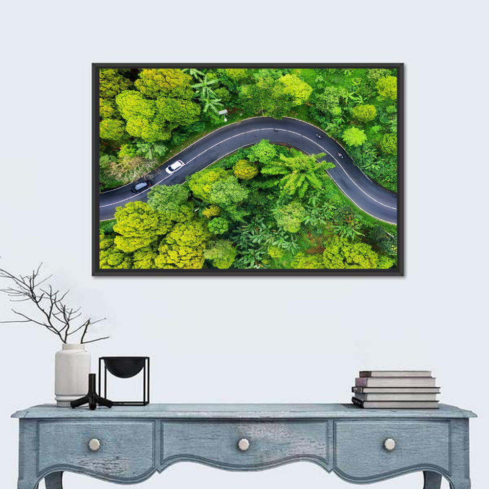 Winding Tropical Forest Road Wall Art