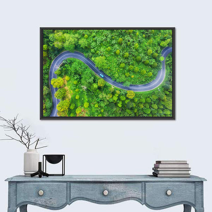 Summer Forest Road Wall Art