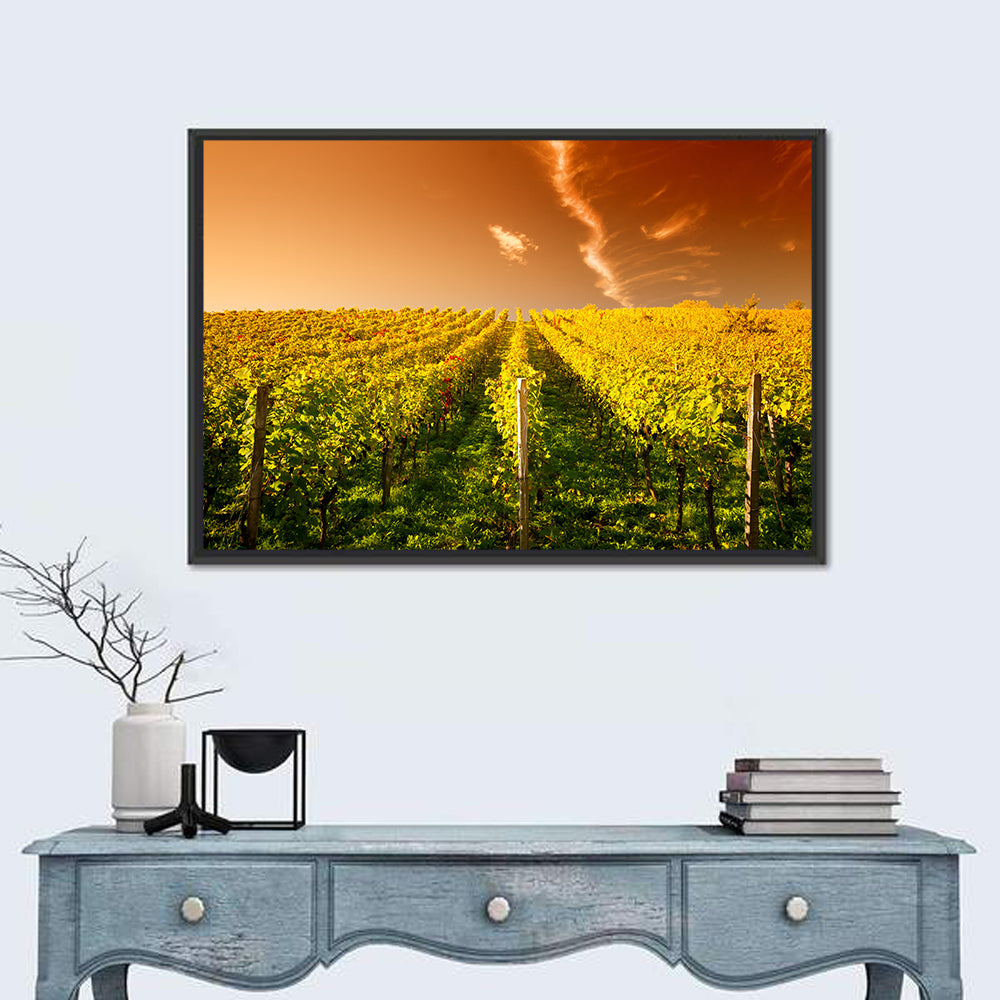 Golden Vineyard Sunset Wall Art