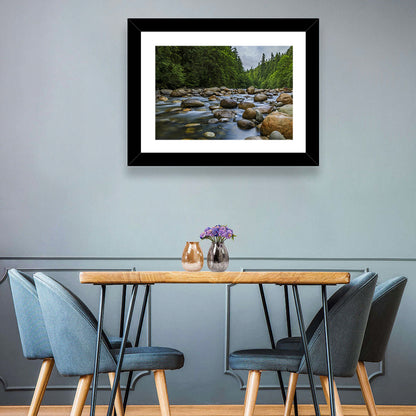 Lynn Canyon Park Forest Wall Art