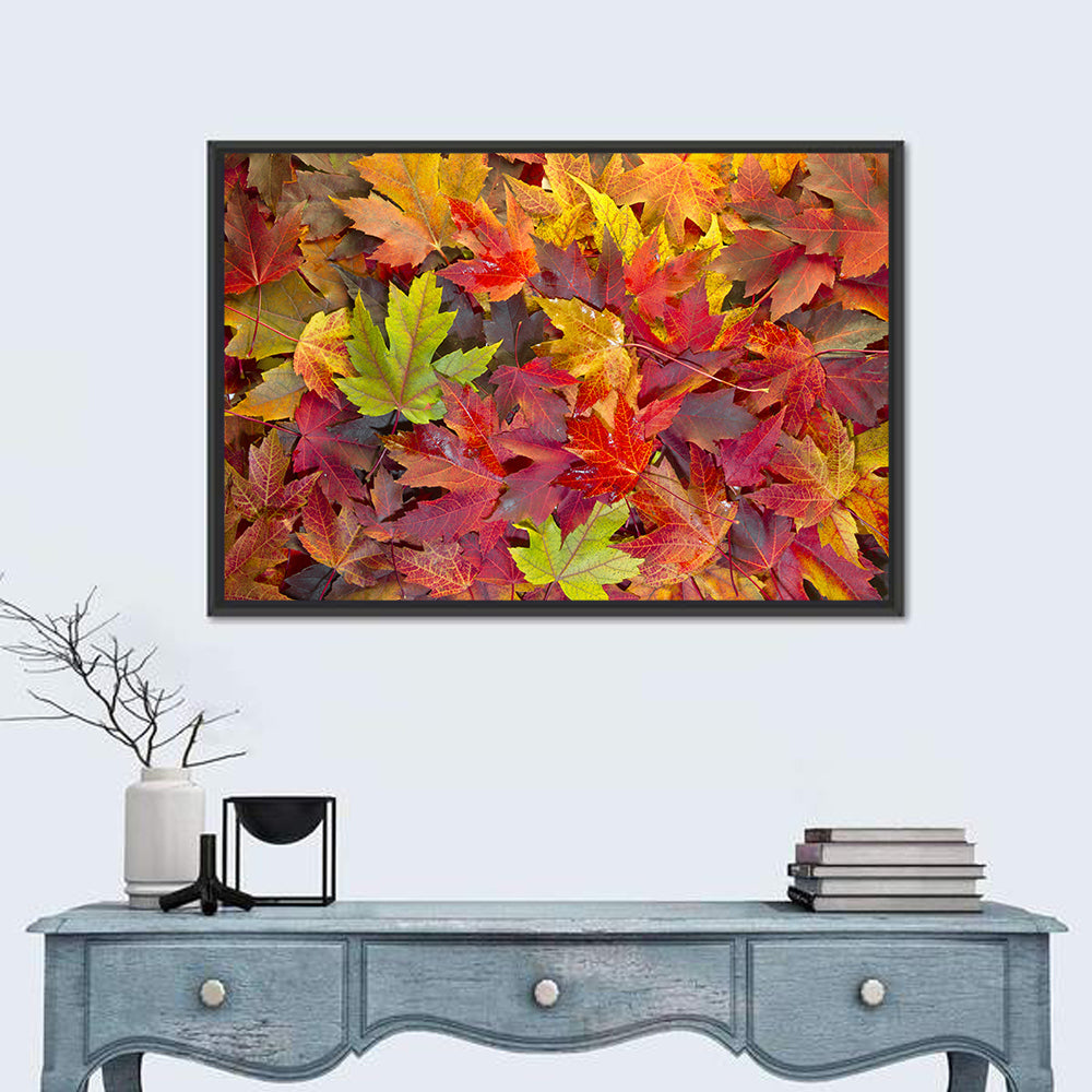 Autumn Maple Leaves Close-up Wall Art