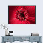 Red Gerbera Daisy Macro Close Up Wall Art