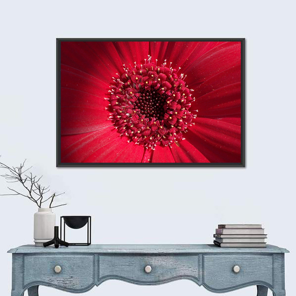 Red Gerbera Daisy Macro Close Up Wall Art