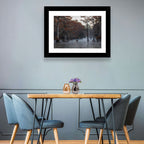 Caddo Lake Morning Mist Wall Art