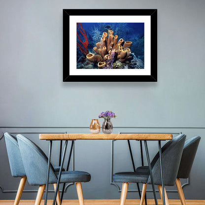Belize Reef Sponges Wall Art