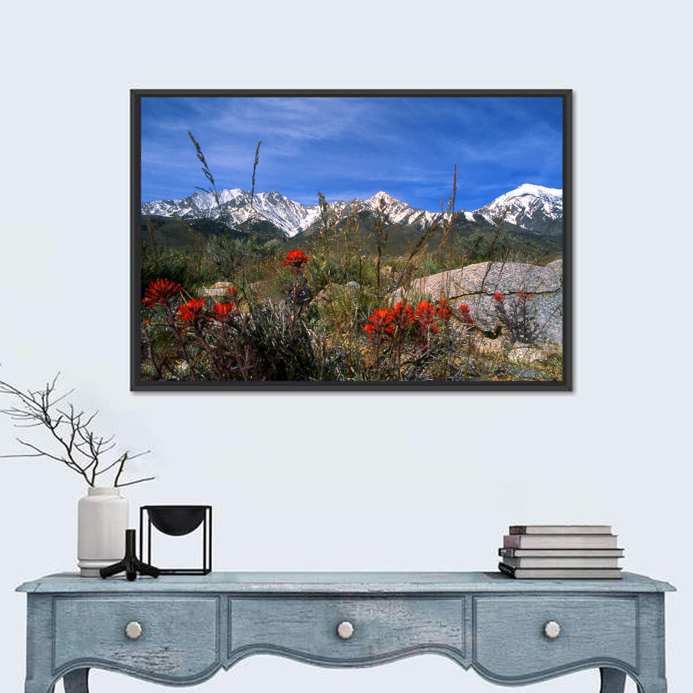 Sierra Nevada Wildflower Vista Wall Art in a room, landscape