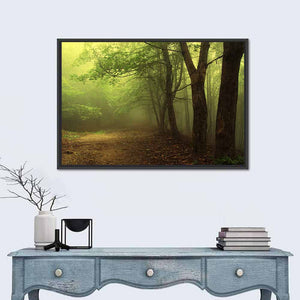 Green Foggy Forest Wall Art