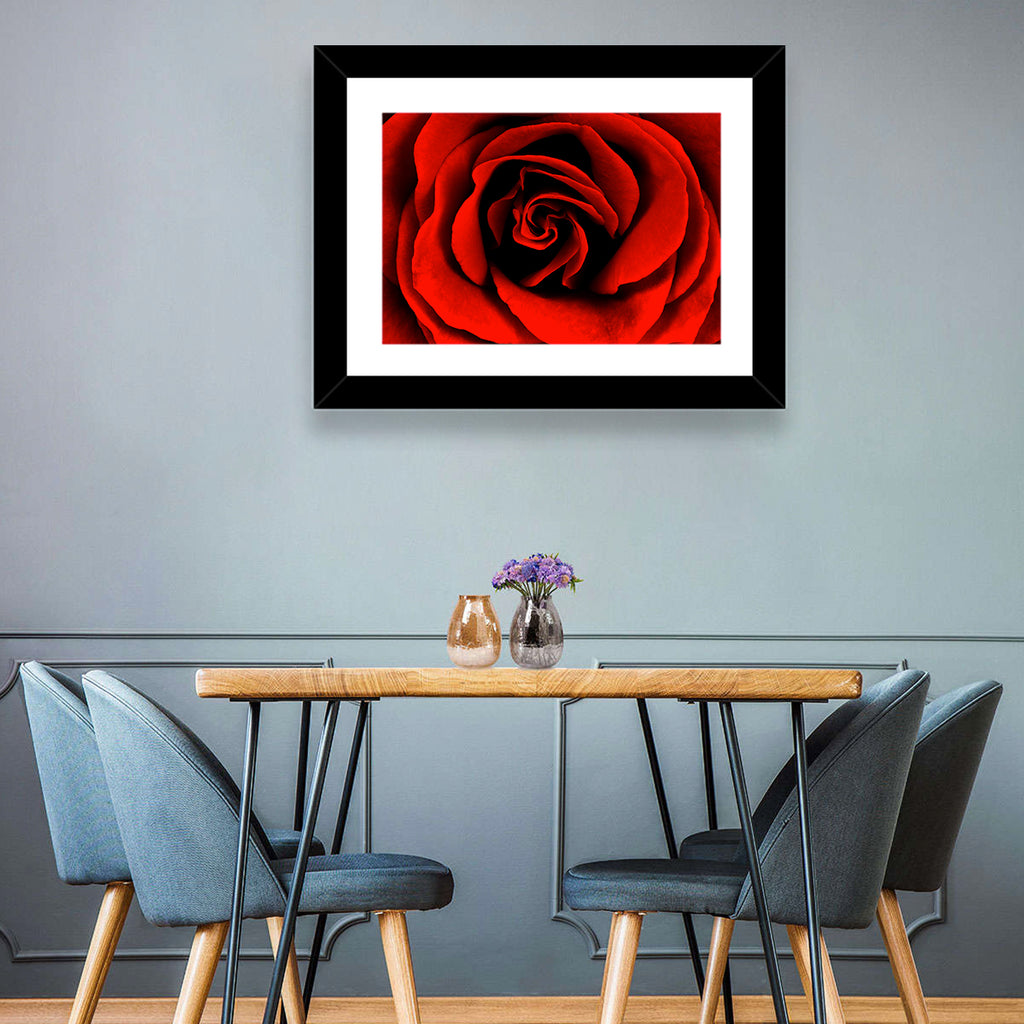 Velvety Red Rose Close-up Wall Art