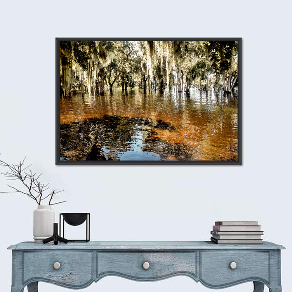 Spanish Moss Swamp at Lake Jesup Wall Art in a room, landscape