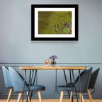 Aerial Herd of Elephants Wall Art