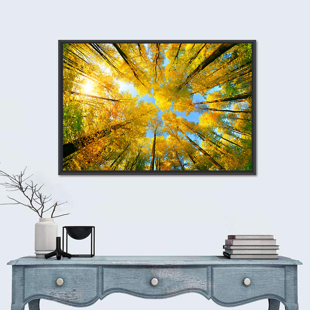 Golden Autumn Canopy Wall Art