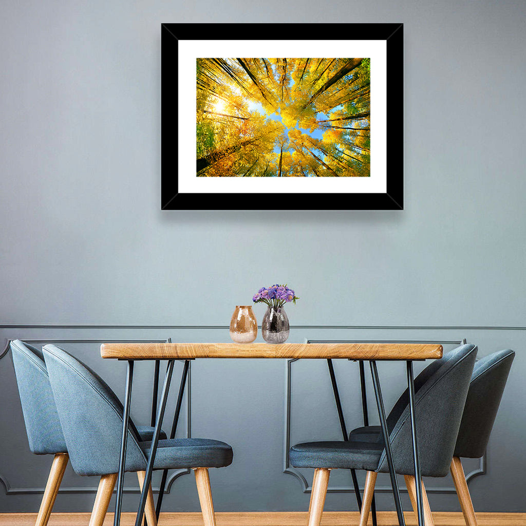 Golden Autumn Canopy Wall Art