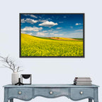 Sunlit Canola Fields Wall Art