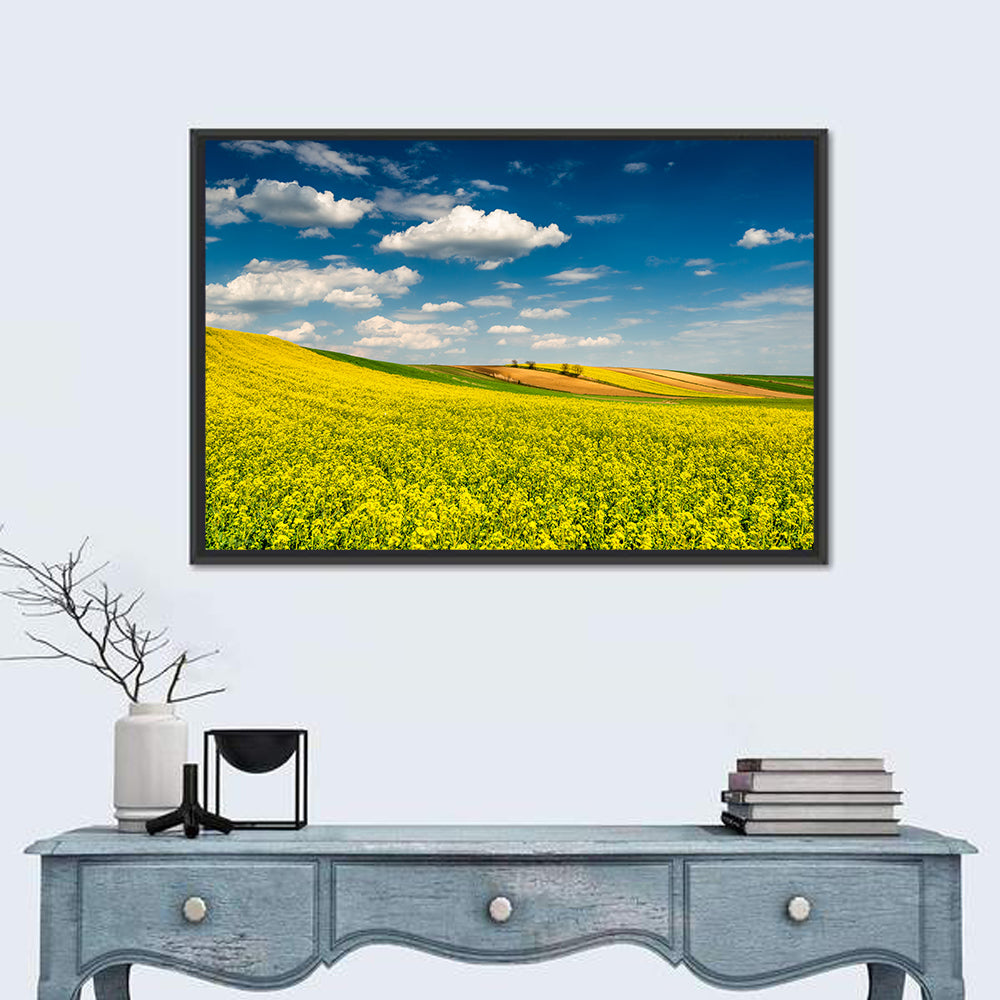 Sunlit Canola Fields Wall Art