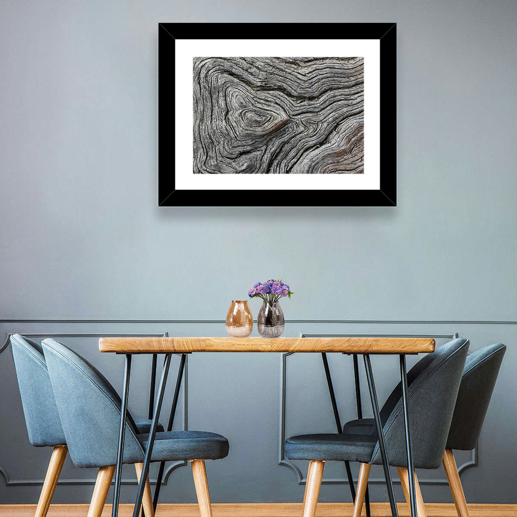 Tree Growth Rings Wall Art