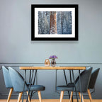 Winter Giant Sequoia in Snowy Forest Wall Art