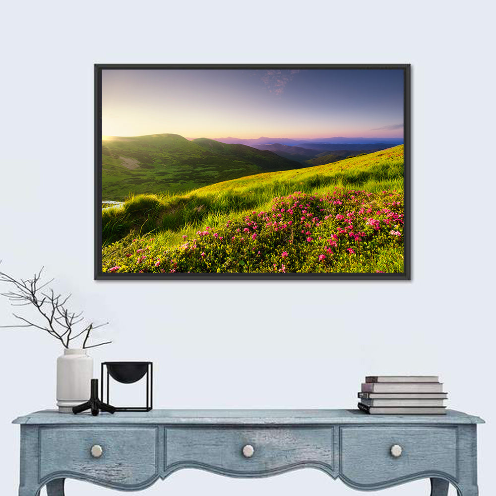 Alpine Meadow Sunrise Wall Art in a room, landscape
