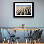 Endless Rippled Sand Dunes Wall Art