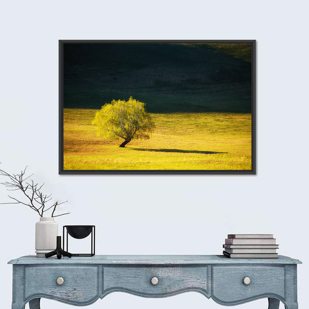 Lone Tree in Golden Meadow Wall Art in a room, landscape