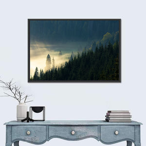 Coniferous Forest Valley Wall Art