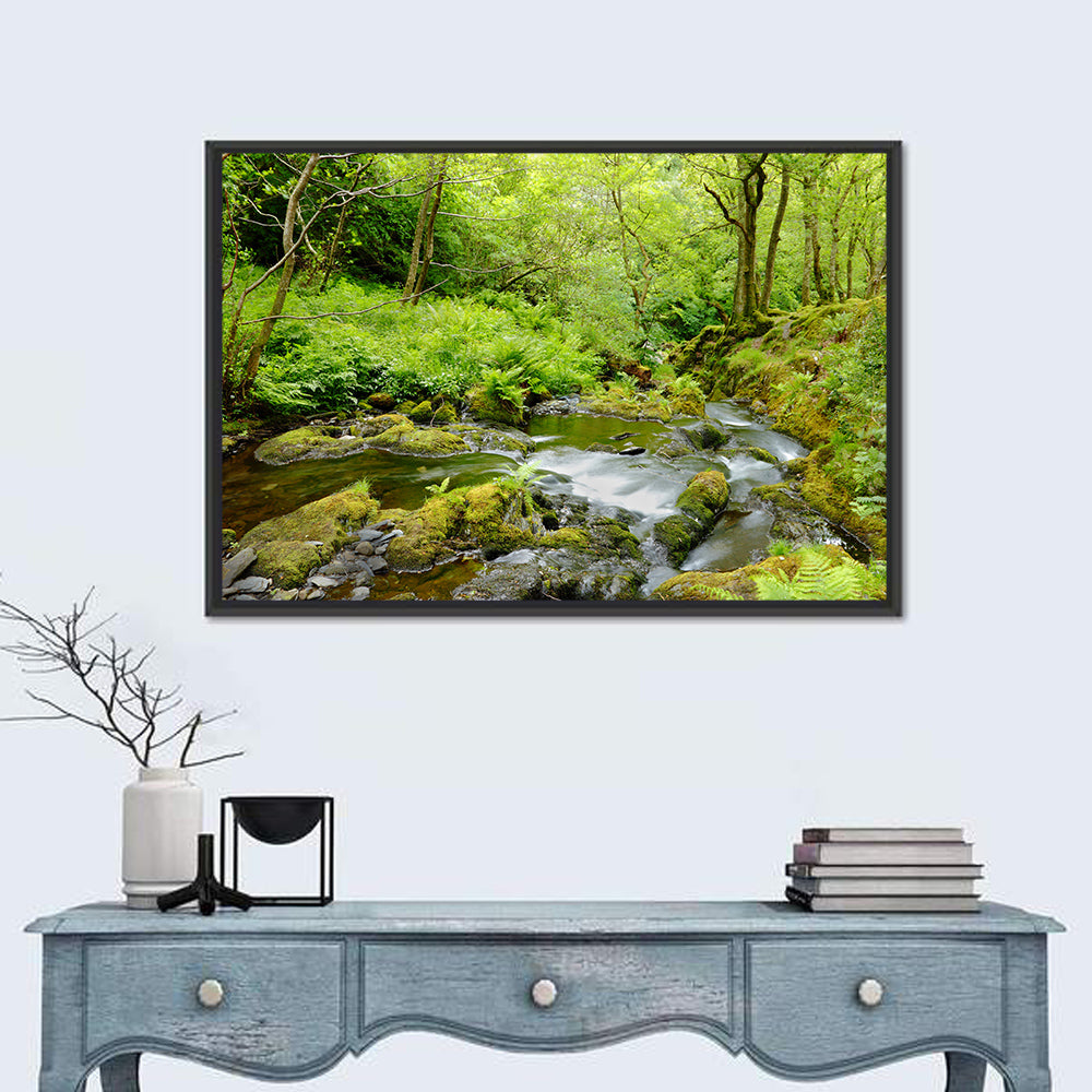 Mossy Stream Through Forest Wall Art