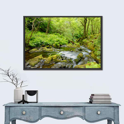 Forest Stream Wall Art