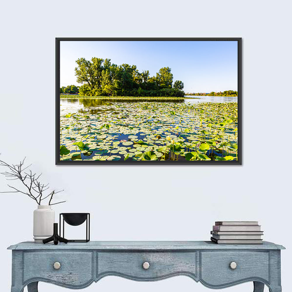 Carter Lake Lily Pads Wall Art in a room, landscape