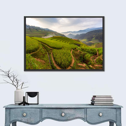 Terraced Rice Paddy Field Wall Art