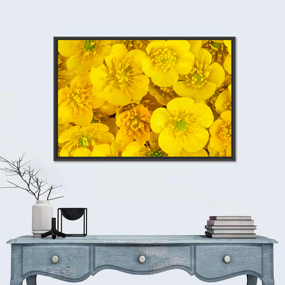 Yellow Buttercup Close-up Wall Art