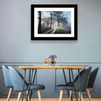Foggy Forest Path Wall Art