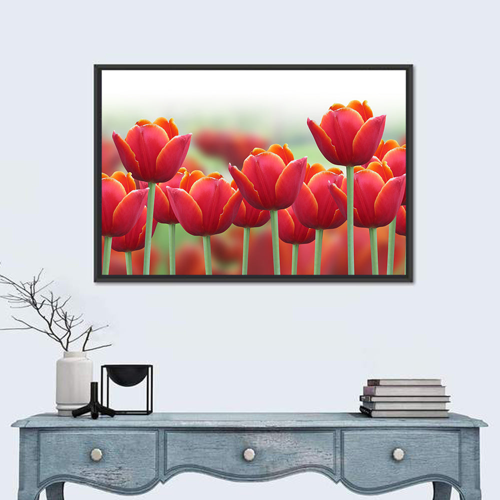 Red Tulips with Yellow Tips Wall Art in a room, landscape
