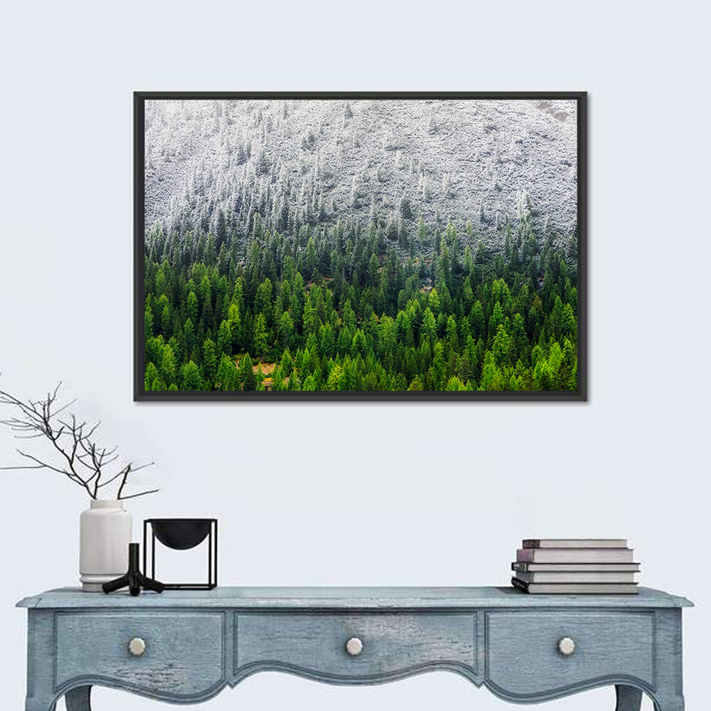 Snowy Dolomites Forest Wall Art