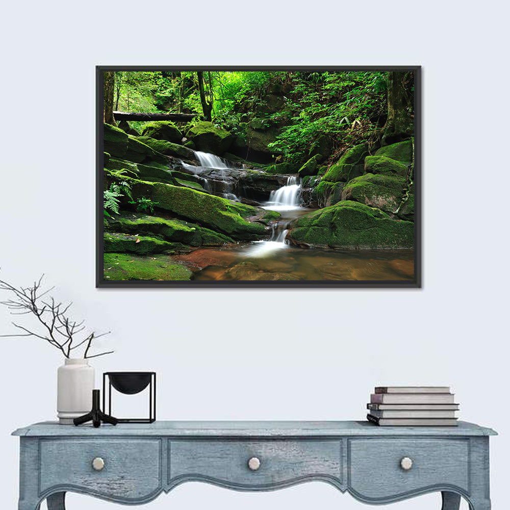 Mossy Rainforest Stream Wall Art in a room, landscape