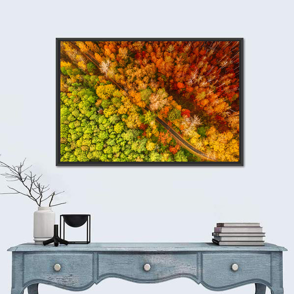 Winding Road Through Autumn Forest Wall Art in a room, landscape