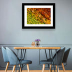 Winding Road Through Autumn Forest Wall Art