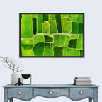 Verdant Rice Terrace Grid Wall Art