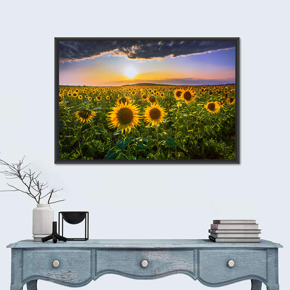Sunflower Field at Golden Hour Wall Art in a room, landscape