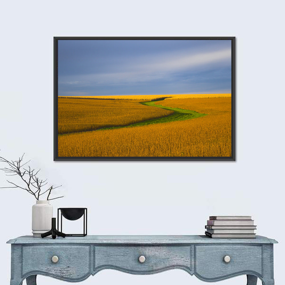 Golden Hour Soybean Field Wall Art in a room, landscape