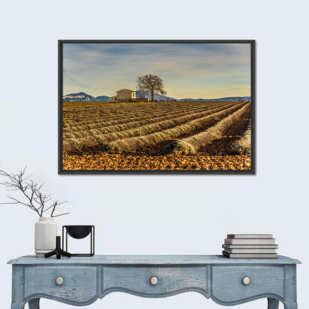 Rustic Provence Lavender Rows at Golden Hour Wall Art in a room, landscape