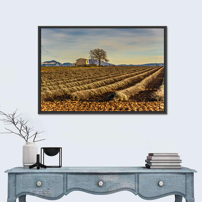 Provence Lavender Wall Art